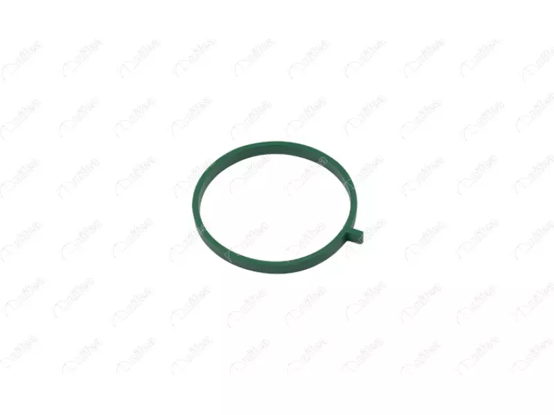 THROTTLE GASKET
