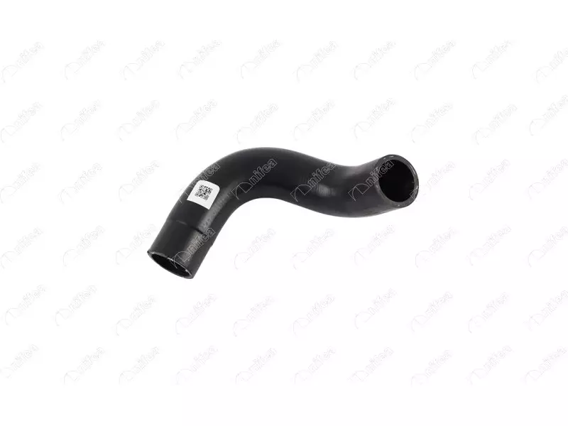 THERMOSTAT HOSE