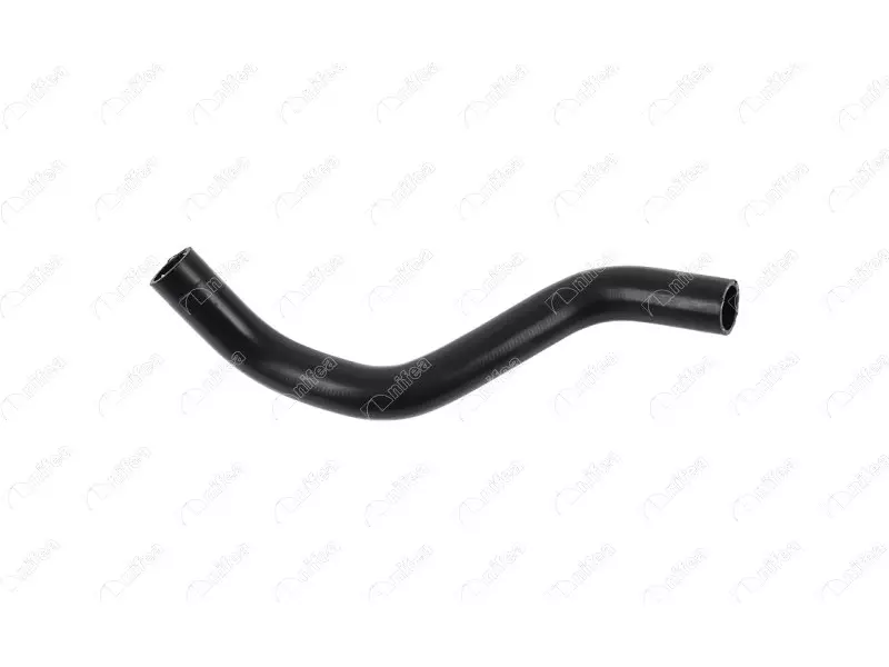 RADIATOR OUTLET HOSE