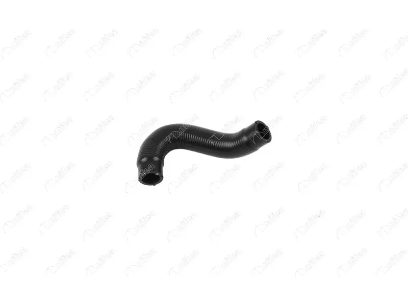 EGR HOSE