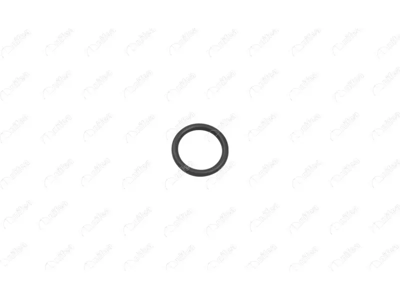 RECIRCULATION PIPE GASKET