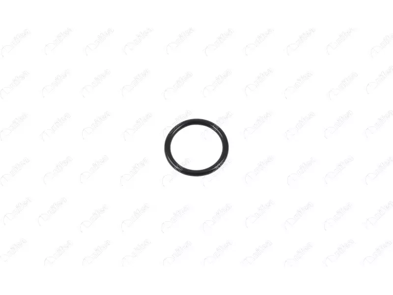 RECIRCULATION PIPE GASKET