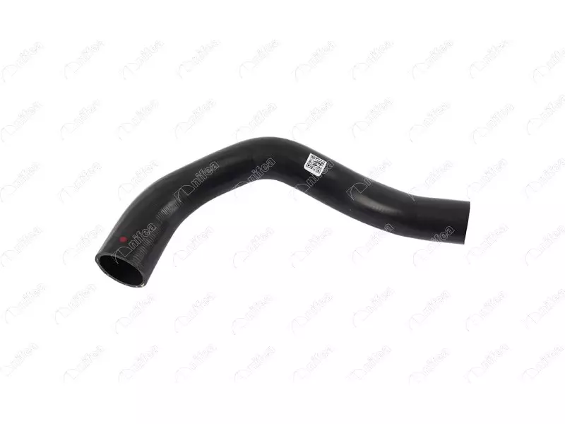 RADIATOR OUTLET HOSE
