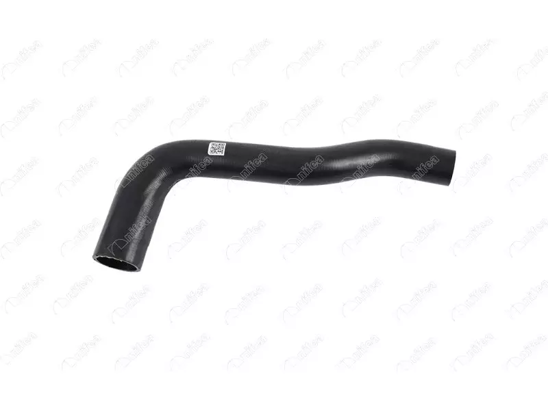 RADIATOR OUTLET HOSE