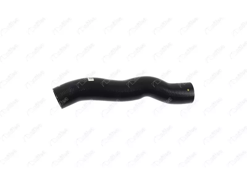 RADIATOR OUTLET HOSE
