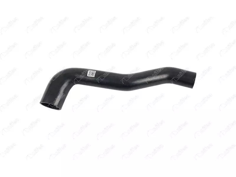RADIATOR OUTLET HOSE
