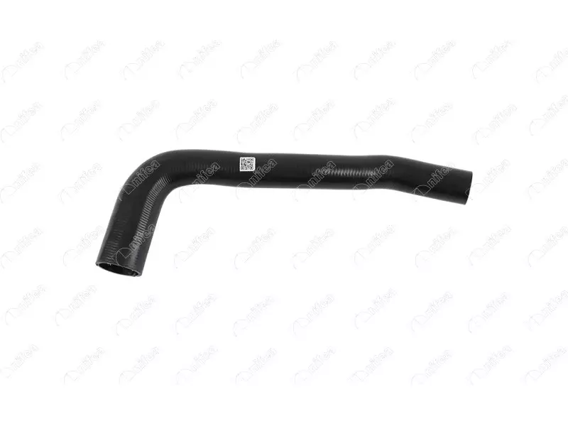 RADIATOR OUTLET HOSE