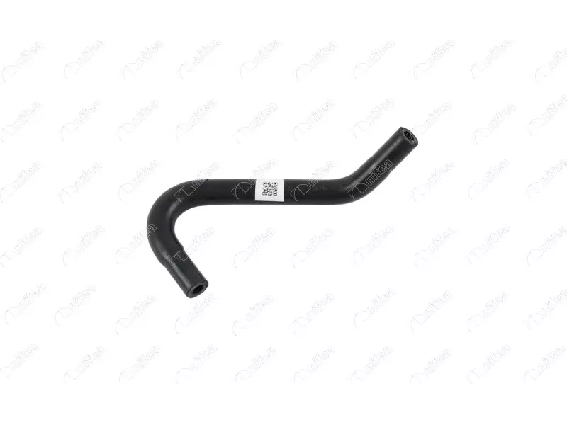 EGR HOSE