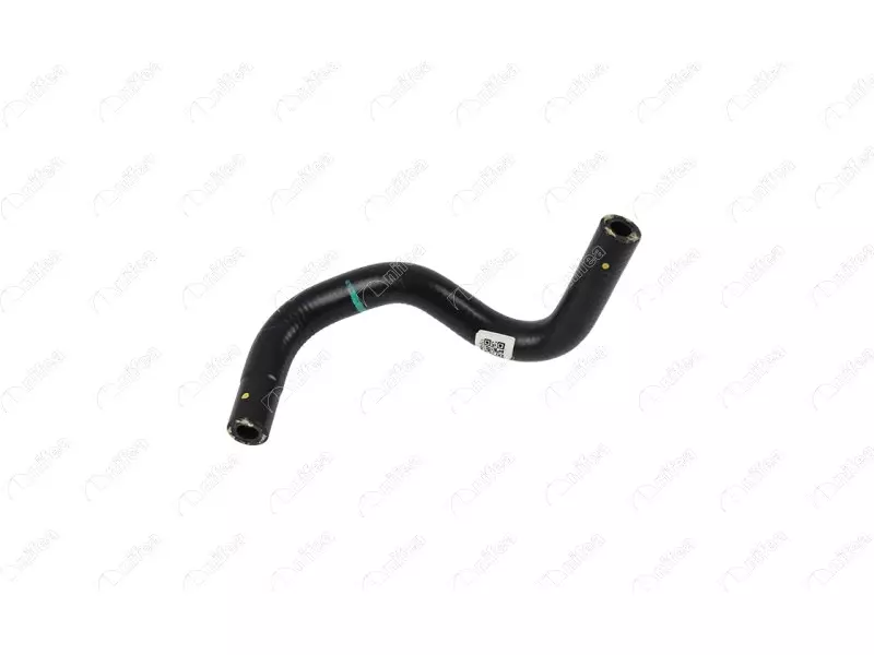 FUEL HOSE