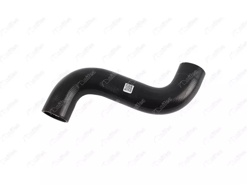 RADIATOR OUTLET HOSE