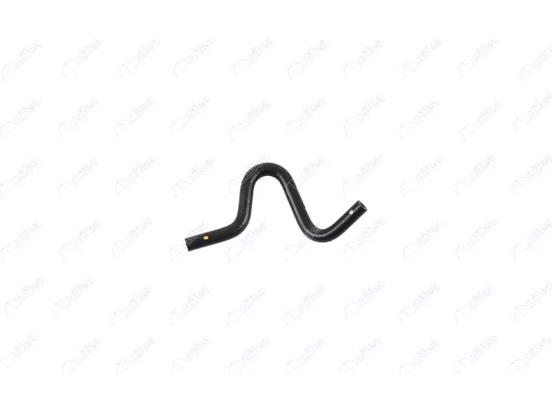 FUEL HOSE
