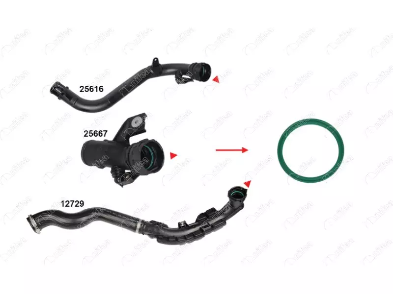 TURBO PIPE GASKET