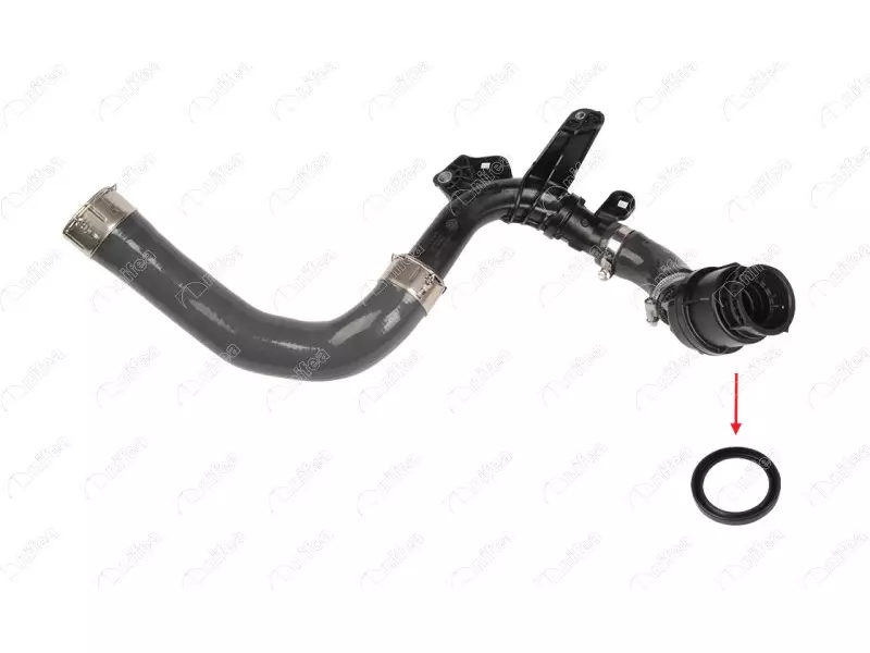 TURBO PIPE GASKET