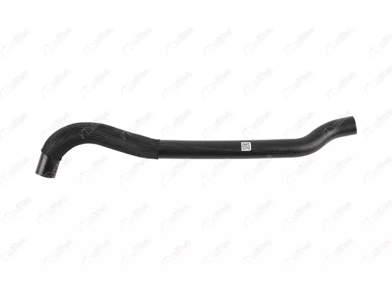 RADIATOR OUTLET HOSE