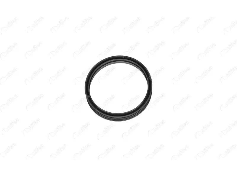 FUEL TANK GASKET