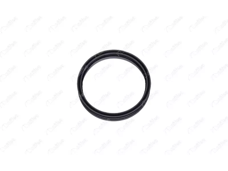 FUEL TANK GASKET