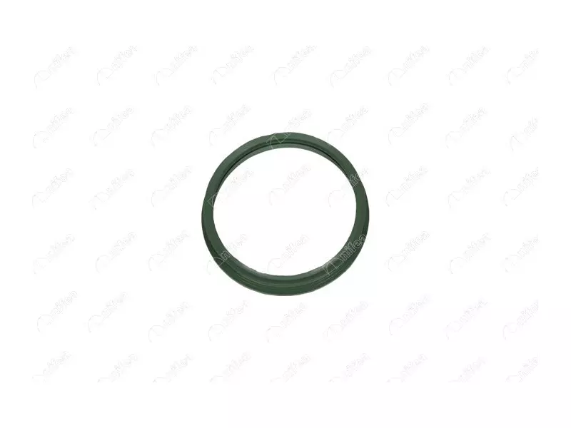 FUEL TANK GASKET