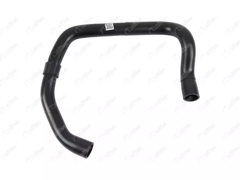 RADIATOR OUTLET HOSE