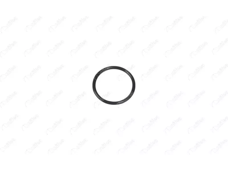 RECIRCULATION PIPE GASKET