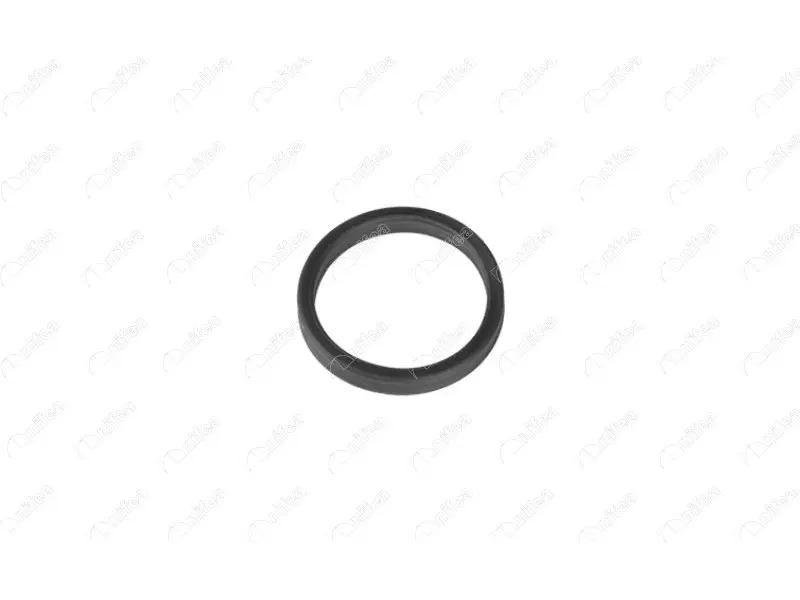 RECIRCULATION PIPE GASKET