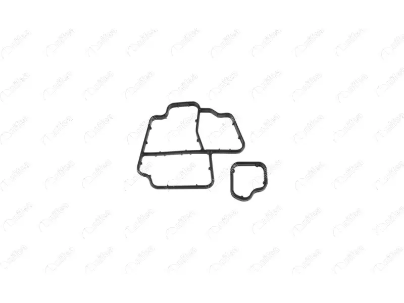 OIL COOLER GASKET