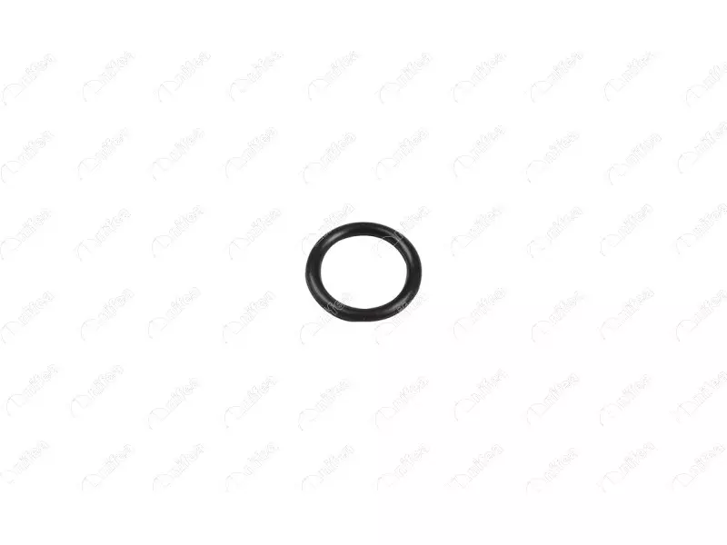 GASKET OF WATER PUMP PIPE