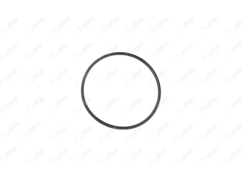FUEL TANK GASKET