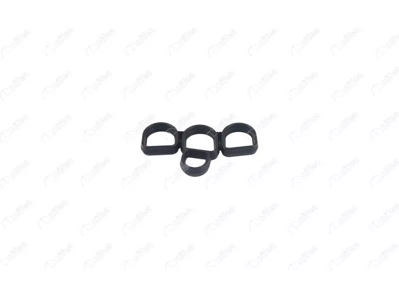 OIL FILTER GASKET