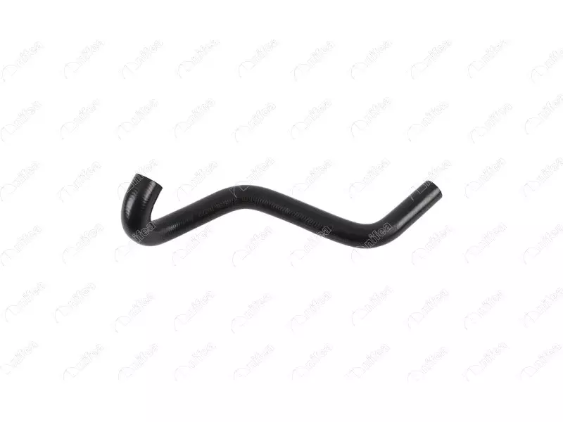 EGR HOSE