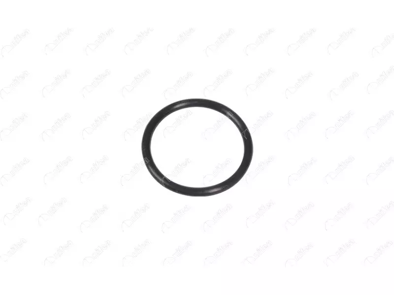 RECIRCULATION PIPE GASKET