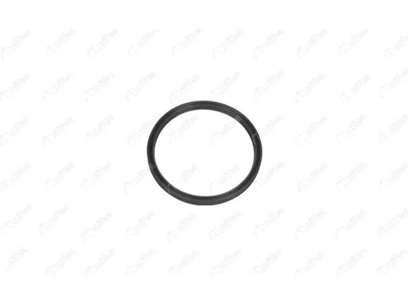 TURBO PIPE GASKET