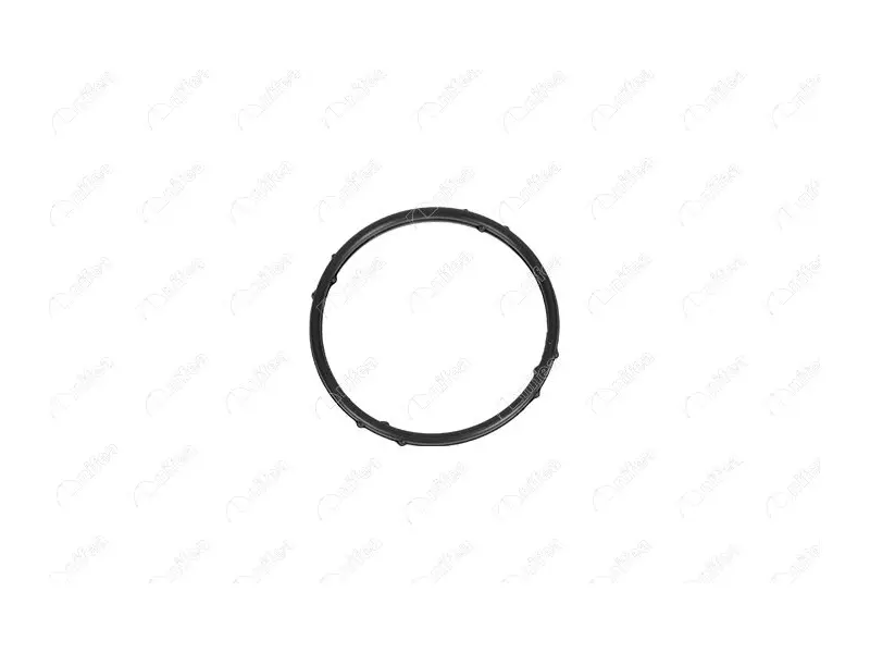 TURBO PIPE GASKET
