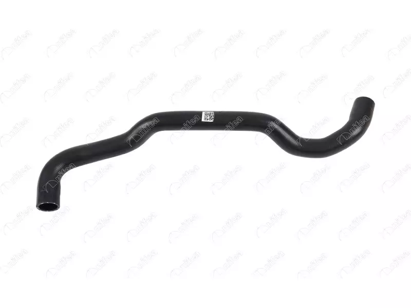 RADIATOR OUTLET HOSE