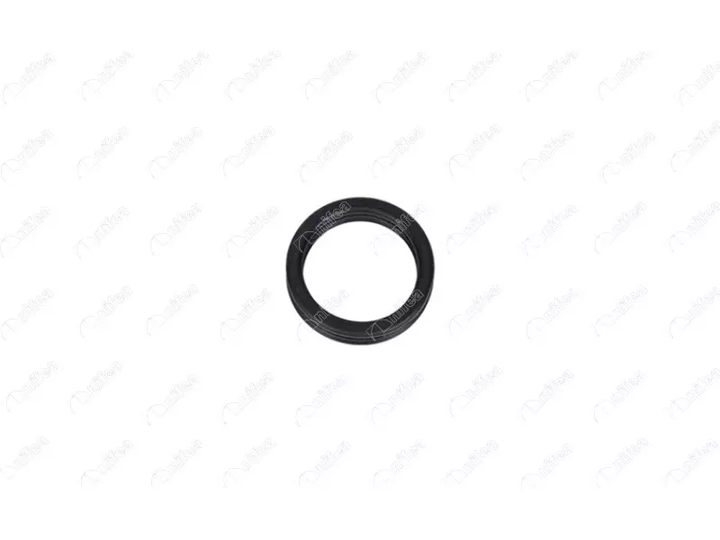 WATER PIPE GASKET