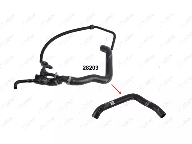 RADIATOR INLET HOSE