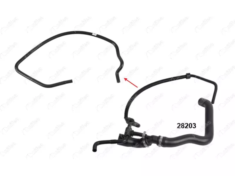 RADIATOR INLET HOSE