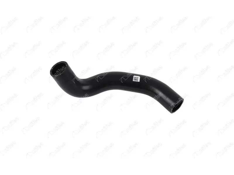 RADIATOR OUTLET HOSE