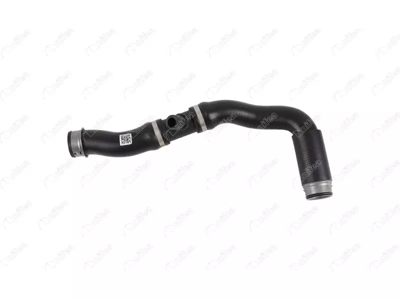 RADIATOR OUTLET HOSE
