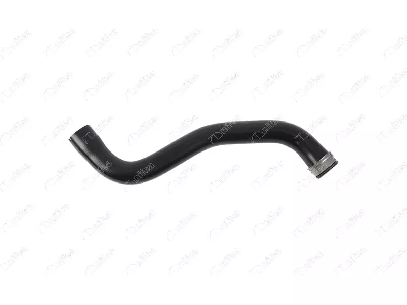RADIATOR INLET HOSE