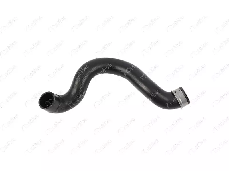 RADIATOR OUTLET HOSE