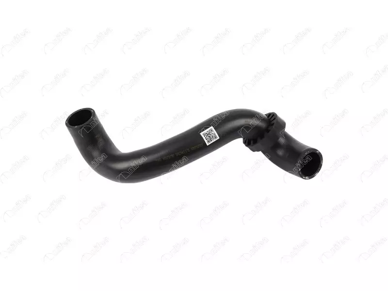 RADIATOR OUTLET HOSE