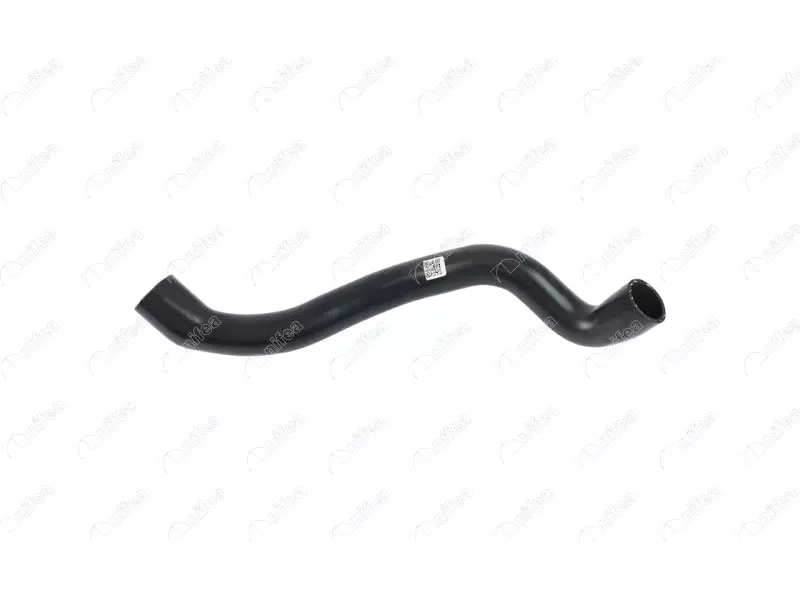 RADIATOR OUTLET HOSE