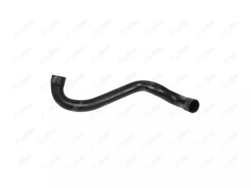 RADIATOR OUTLET HOSE