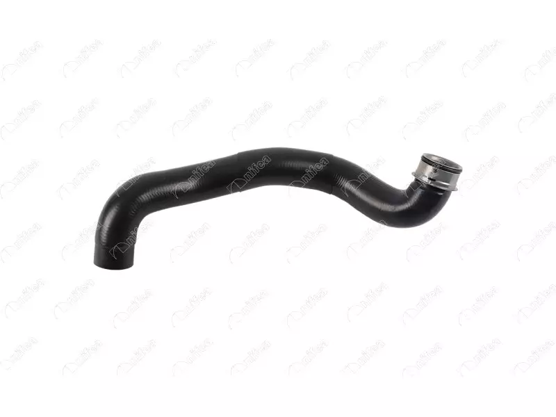 RADIATOR INLET HOSE