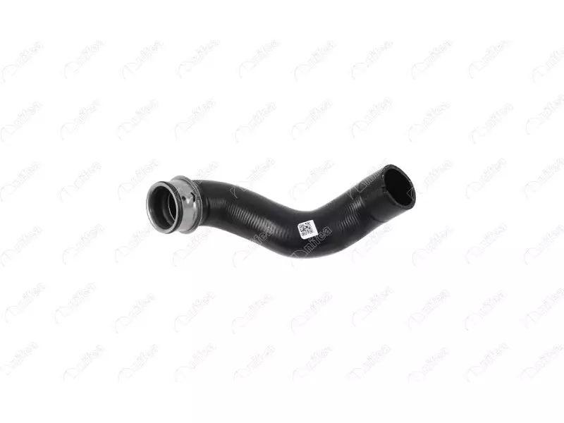 RADIATOR OUTLET HOSE