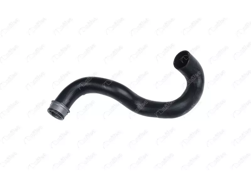 RADIATOR OUTLET HOSE