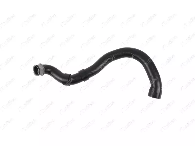 RADIATOR OUTLET HOSE
