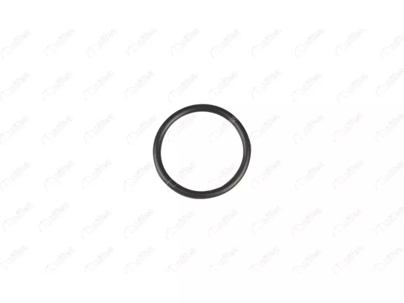 WATER PIPE GASKET