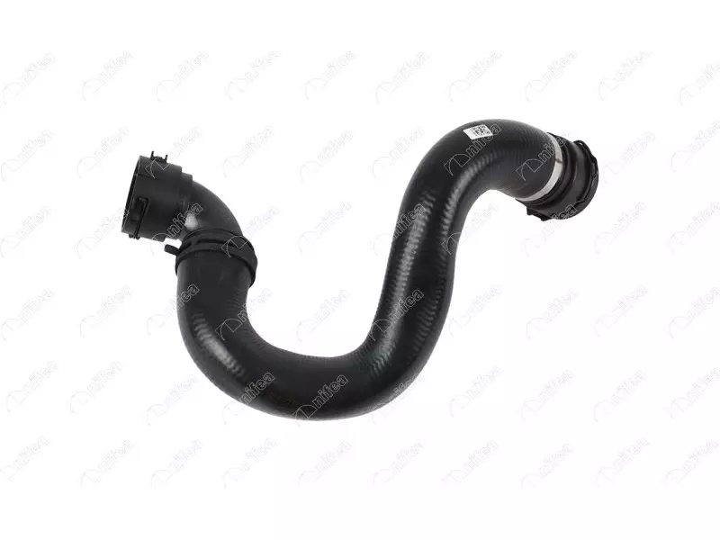 RADIATOR OUTLET HOSE
