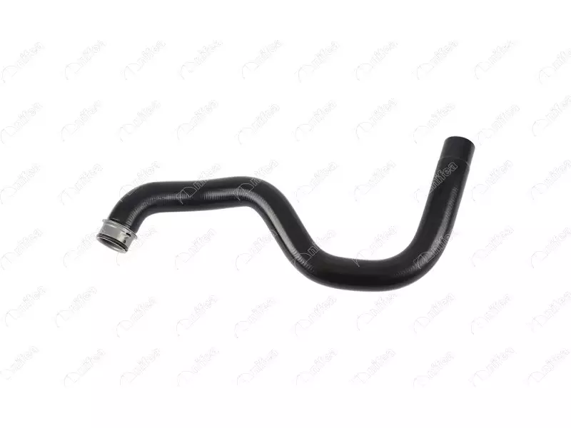 RADIATOR INLET HOSE